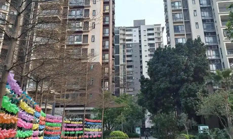 海西二级物业管理员考试成绩公布时间如何查询-(海西物业考试成绩查询时间)